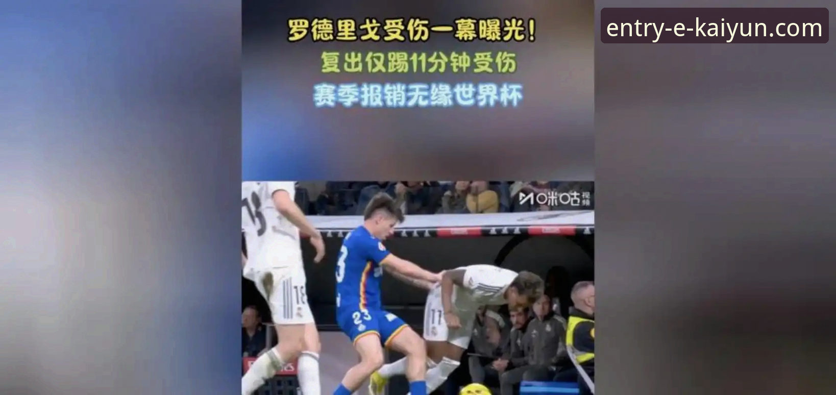 开云体育下载安装教程对比 阿根廷新星重伤无缘世界杯:一次战术缺失与平台信息深度的全面评测